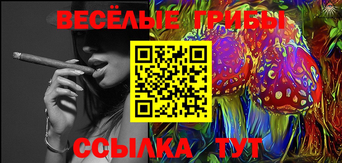 Псилоцибиновые грибы Cubensis  Вход с VPN  Дербент 